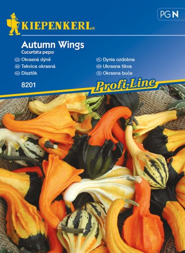 Dynia ozdobna Autumn Wings nasiona - Kiepenkerl