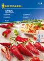 Papryka pepperoni Amboy nasiona - Kiepenkerl
