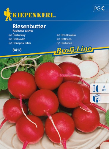 Rzodkiewka Riesenbutter nasiona - Kiepenkerl