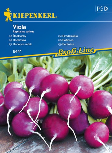 Rzodkiewka Viola nasiona - Kiepenkerl