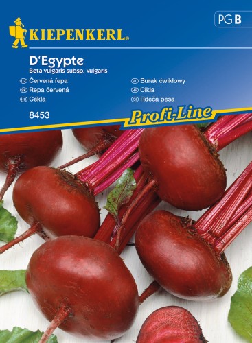 Burak ćwikłowy D'Egypte nasiona - Kiepenkerl