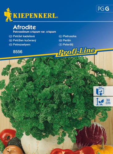 Pietruszka Afrodite nasiona - Kiepenkerl