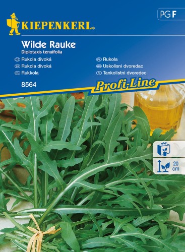 Rukola Wilde Rauke nasiona - Kiepenkerl