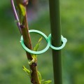 zapinki-plastikowe-do-spinania-roslin-mix-50szt-721201_.jpg