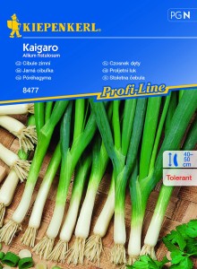 Czosnek dęty Kaigaro nasiona – Kiepenkerl