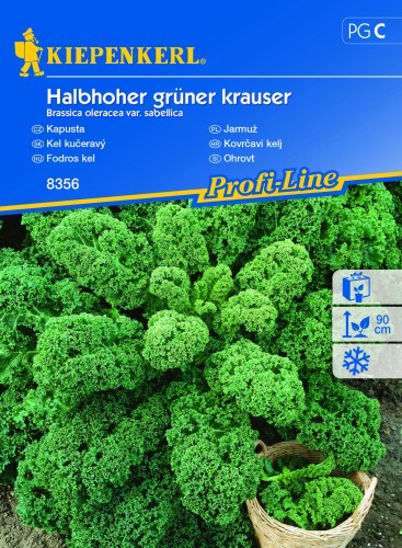 Jarmuż Halbhoher Grüner Krauser nasiona – Kiepenkerl