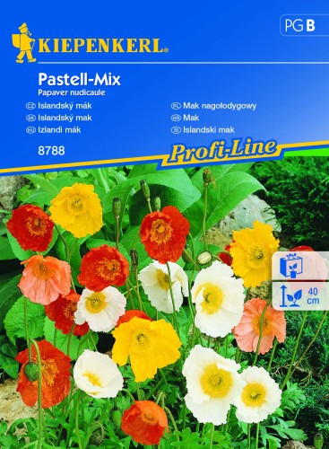 Mak nagołodygowy Pastell-Mix nasiona – Kiepenkerl