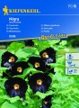 Malwa ogrodowa Nigra nasiona – Kiepenkerl