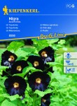 Malwa ogrodowa Nigra nasiona – Kiepenkerl