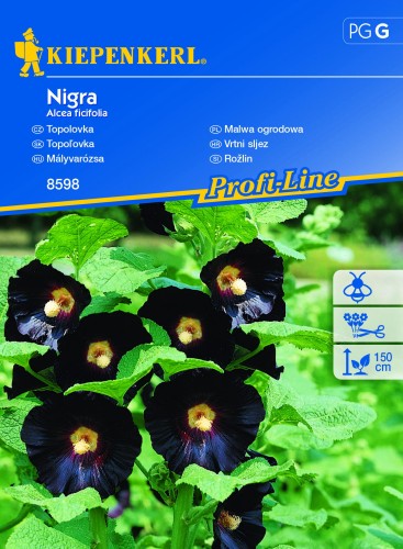 Malwa ogrodowa Nigra nasiona – Kiepenkerl