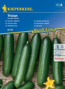 Ogórek gruntowy Tristan nasiona – Kiepenkerl