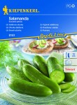 Ogórek sałatkowy Salamanda nasiona – Kiepenkerl