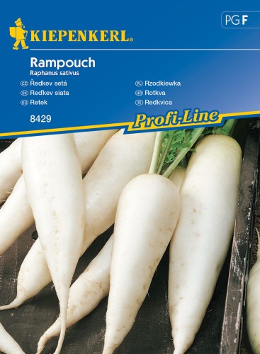 Rzodkiewka Rampouch nasiona – Kiepenkerl