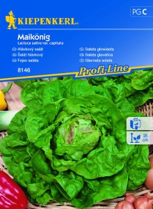 Sałata głowiasta May King nasiona – Kiepenkerl