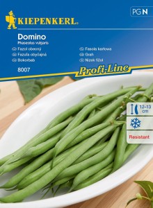 Fasola karłowa Domino nasiona – Kiepenkerl