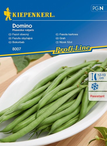 Fasola karłowa Domino nasiona – Kiepenkerl