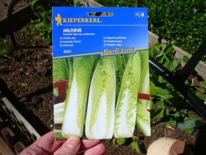 Kapusta pekińska Michihili nasiona – Kiepenkerl