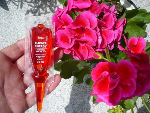 Odżywka do roślin kwitnących Flower Energy Target 35 ml