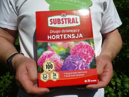 Nawóz Długo działający Hortensja Substral 1 kg
