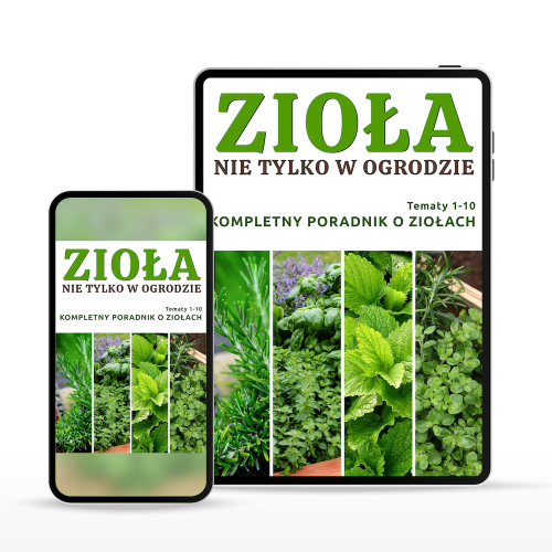 ZESTAW: Zioła Nie Tylko W Ogrodzie (Wszystkie Tematy) – 10 szt. – Kompletny Poradnik o Ziołach – E-Book PDF