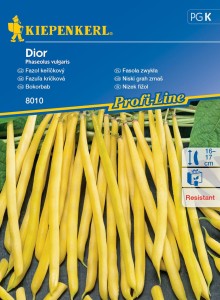 Fasola karłowa Dior nasiona – Kiepenkerl