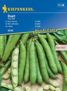 Bób Duet nasiona – Kiepenkerl