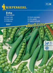 Groch zwyczajny Evita nasiona – Kiepenkerl