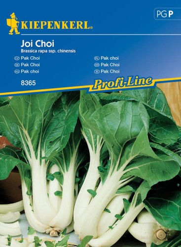 Pak choi Joi Choi F1 nasiona – Kiepenkerl