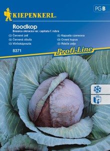 Kapusta czerwona Roodkop nasiona – Kiepenkerl