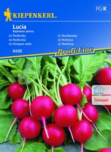 Rzodkiewka Lucia nasiona - Kiepenkerl