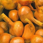 Cebula szalotka żółta Golden Gourment 250 g