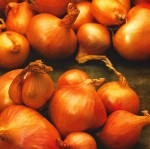 Cebula szalotka czerwona Red Sun 250 g