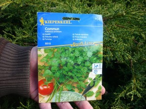 Trybula ogrodowa Commun nasiona – Kiepenkerl