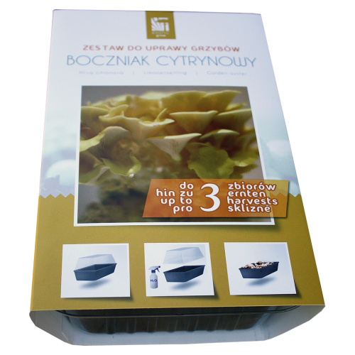 Zestaw do uprawy grzybów – Boczniak cytrynowy – Exotic Grow 3 l