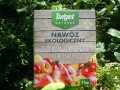 Nawóz ekologiczny do drzew i krzewów owocowych Target 1 kg to granulowany kompost.
