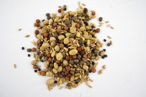 ae130b3c9cdc63cd238a98db6a0a2b91