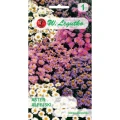 Aster alpejski – mix – 0,3 g Legutko