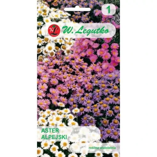 Aster alpejski – mix – 0,3 g Legutko