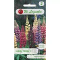Łubin trwały Russel – mix – 2 g Legutko