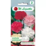 Goździk ogrodowy – mix – 0,5 g Legutko
