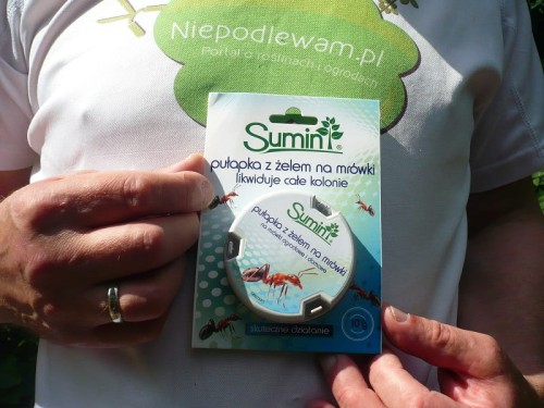 Pułapka z żelem na mrówki Sumin 10 g