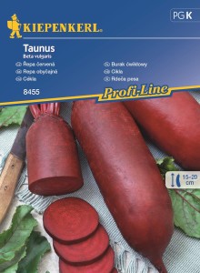 Burak ćwikłowy Taunus nasiona – Kiepenkerl