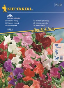 Groszek pachnący Mix nasiona – Kiepenkerl