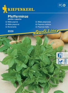 Mięta pieprzowa nasiona - Kiepenkerl