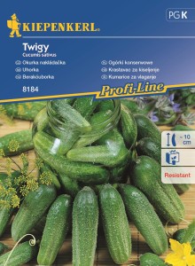 Ogórek gruntowy Twigy F1 nasiona – Kiepenkerl