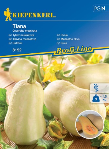 Dynia piżmowa Tiana F1 nasiona - Kiepenkerl