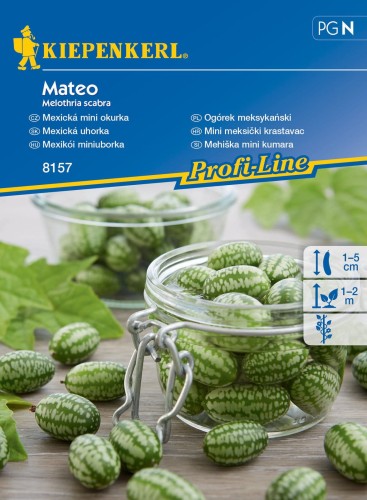 Ogórek meksykański Mateo nasiona - Kiepenkerl
