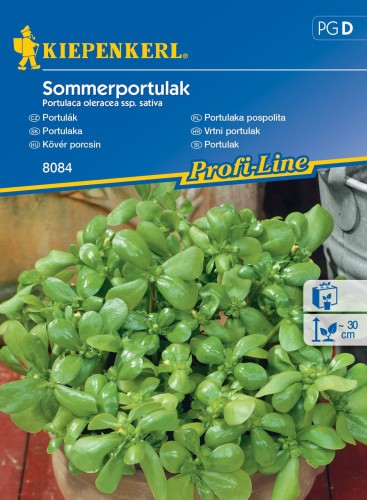 Portulaka pospolita Sommerportulak nasiona - Kiepenkerl