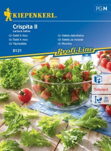 Sałata dębolistna Crispita II nasiona – Kiepenkerl