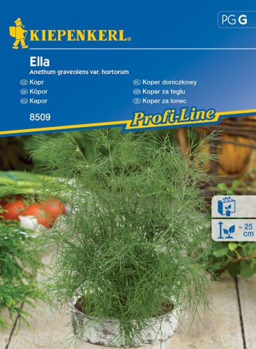 Koper doniczkowy Ella nasiona – Kiepenkerl